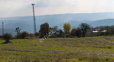 Sahibinden Herkese Göre Değil Doğru Kişiye Büyük Fırsat ( Köyiçi 5077 M²)
