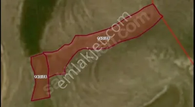 Sahibinden Midyat Çavuşlu/bağlar Satılık Uygun Fiyatlı Tarla