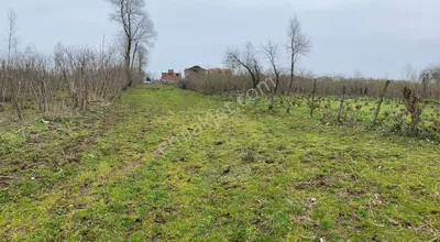 Sahibinden Terme/evci/miliç Satılık Arsa