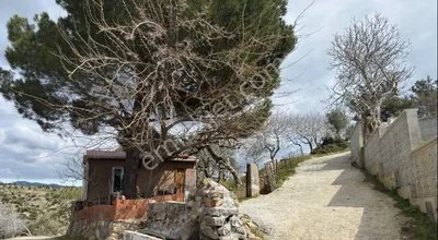Sahibinden Ayvalık Bulutçeşmede Köy İçinde 3.618 M2 Satılık