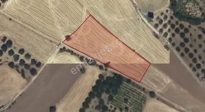 Sahibinden Yeni Yapılacak Üniversite Hastanesine Yakın Temur' Da 4329 M2 Tarla