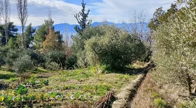 Sahibinden ? Ana Yola Sıfır! Su Var – Muğla Seydikemer Yakaköy Mahallesin'de Kaçmaz Yatırımlık 1027 M² Tarla