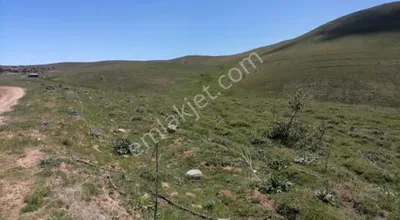 Sahibinden Gümüşhane Merkez Kaletaşta 120 Metre Yol Cepheli 2.445 M2 Arazi