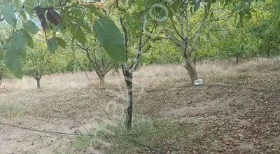 Sahibinden Kıran Köyde Bahçe