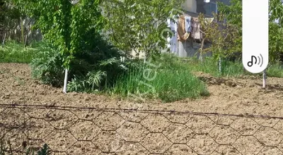 Sahibinden Sakarya Geyve Akıncı Mahallesinde Satılık Çiftlik