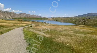 Sahibinden Göl Manzaralı, Asfalt Cepheli Satılık Taşsız Tarla