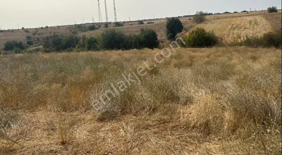 Sahibinden Uygun Fiyata Tarla İmar Sinirina 200 Metre