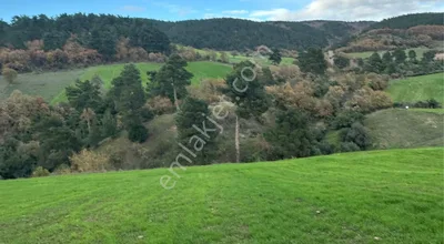 Sahibinden Bu Fırsata Kaçırılmayacak Kelepir Tarla
