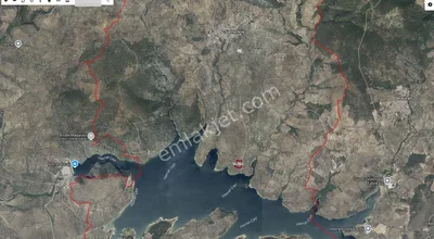 Sahibinden Balıkesir Havran Sarnıç Mahallesi Satılık Zeytinlik Arsa