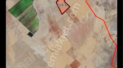 Sahibinden Niğde Merkez Dikiltaş Köyü Satılık Tarla