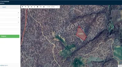 Sahibinden Sahibinden Satılık 6007m2, Kırklareli Çeşmeköy
