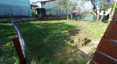 Sahibinden Mudanya Mesudiye Satılık Arsa