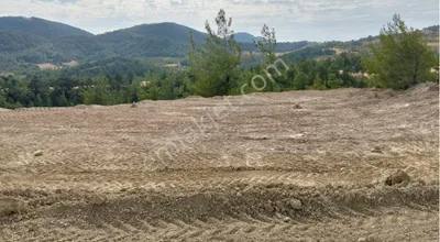 Sahibinden Sakarya Geyve De Yatırımlık Kelepir