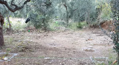 Sahibinden Kapaklı’da Deniz Ve Dağ Manzaralı, İçinde Zeytin Ağaçları Olan Fırsat Arazi!