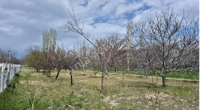 Sahibinden Güneyaşağı 1.791 Metrekare Bahçe Resmi Yolu Mevcut