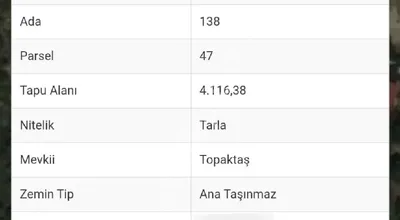 Sahibinden Satılık Bahçe Ev
