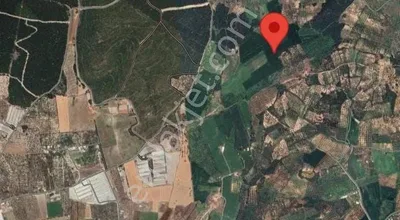 Sahibinden Satılık Hisseli