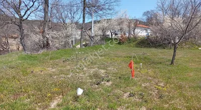 Sahibinden Orhaneli Söğüt Mah Satılık Tarla Ev Yapıla Bilir Yolu Var