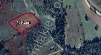 Sahibinden Kandıra Selametli Mahallesi Satılık Tarla