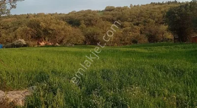 Sahibinden Köyün Dibinde, Doğanın Kalbinde: Kazdağları’nın Nefesi Bu Parselde!