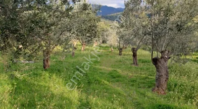 Sahibinden Sahibinden Satılık