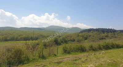 Sahibinden Yalova Çınarcık İmarlı 349 M2 Arsa Kaçmaz