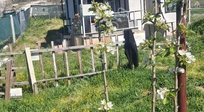 Sahibinden Satılık Arsa Anayola Cephe | Merkezi Konumda | İçinde Evi Hazır Fırsat Parsel! ?