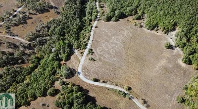 Sahibinden Doğa Harikası Merkez Köy Kapaklı