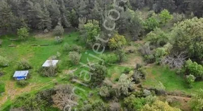 Sahibinden Acil Satılık 334 M2 Bahçe
