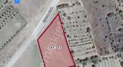 Sahibinden Meram Hatunsarayda Merkeze Çok Yakın Yola Sıfır 2800m2 Tarla