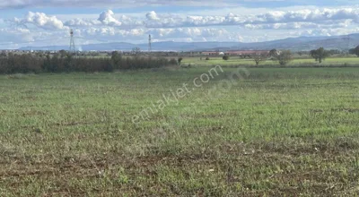 Sahibinden Ç.kale Biga Da18.510m2çiftlik Arazısı Mustakıltapu