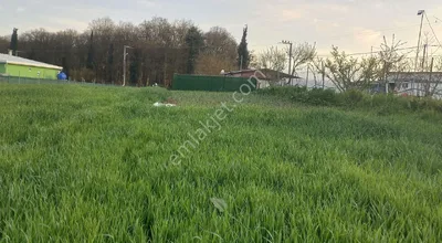 Sahibinden Bursa Kestel Gölcük Mh