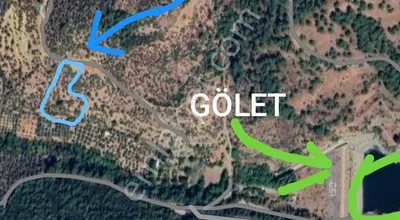 Sahibinden Gölete Yakın Zeytin Lik Torbalı Karakızlarda