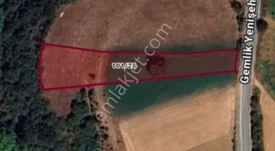 Sahibinden Yenişehir Orhangazi Yoluna Cephe Yatırımlık Tarla