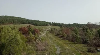 Sahibinden Fiyat Performans Şampiyonu ! 14.544 M² Tek Tapu - İlk Gelen Alır