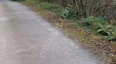 Sahibinden Giresun Görele'de Ana Yola Cephe Müstakil Tapulu 590 M2 Parsel.