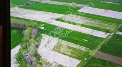 Sahibinden Edirne Havsa Osmanlı Koyu Asfaltın Yakını Dere Kenarında Müstakil Tek Tapu Kadastro Yolu Sifir