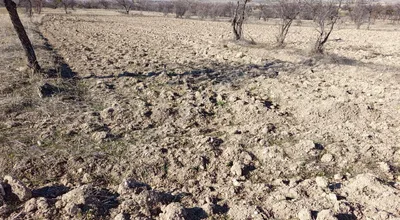 Sahibinden Köye Yakın Yolu Olan Ve Bahçe Olabilecek 3000 M2 Harika Müstakil Bir Arazi