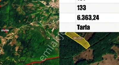 Sahibinden Vize Komurkoy