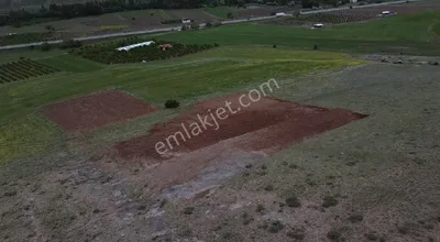 Sahibinden Niğde Ulukışla Porsuk'a