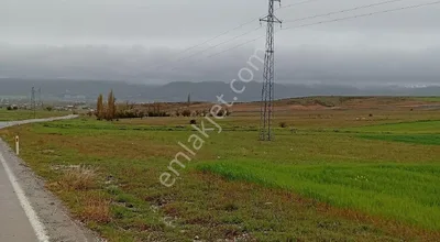 Sahibinden Kütahya Merkez Parmak Ören Mahallesi Cezaevi Yolu Altı Satılık Tarla İmara Açık