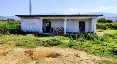 Sahibinden Sahibinden - Fırsat Fiyata - Salihli'de Üzüm Bağı Ve Bağ Evi - Kabazlı Mh