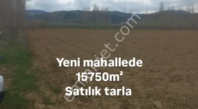 Sahibinden Kahramanmaraş Göksun Yeni Mahallede Satılık Tarla