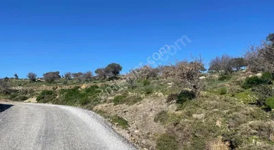 Sahibinden Bodrum Yakaköy’de 10.366 M² Yatırımlık Fırsat!