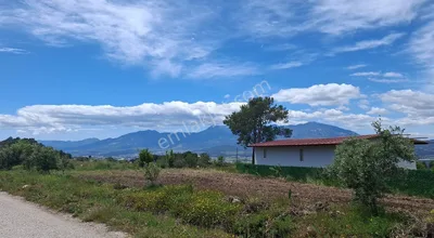 Sahibinden 14.800 M2 Muğla İli Seydikemer İlçesi Yaka Köyünde Satılık Hibe Destekli Yatırımlık Tarla