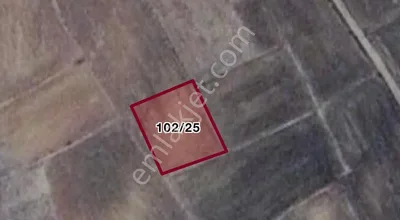 Sahibinden Paşayiğit Mah. Gıda Osb Yakını Arazi
