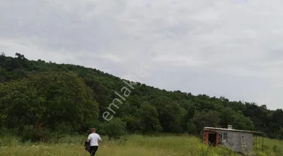 Sahibinden Bergama Koyuneli'de 1.354 M² Yatırımlık, Yolu Açık Fırsat Arazi!