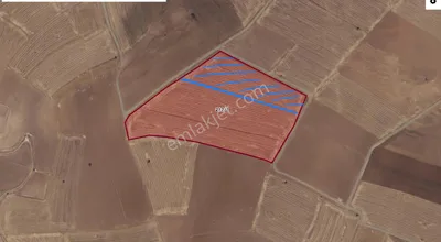 Sahibinden Beyşehir İçerişehir Mahallesinde Satılık Tarla