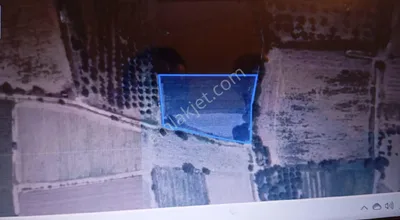 Sahibinden Aydın/atça 3.814,71 M2 Bahçe