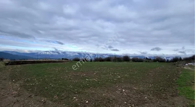 Sahibinden Bolu Mudurnu Göllüören Köyünde Satılık Tarla